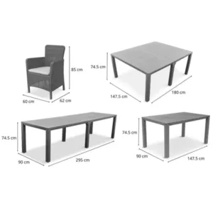 Mobilier de gradina Trufi Borneo gri